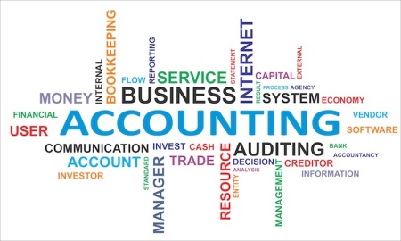 Accounting Software in Delhi